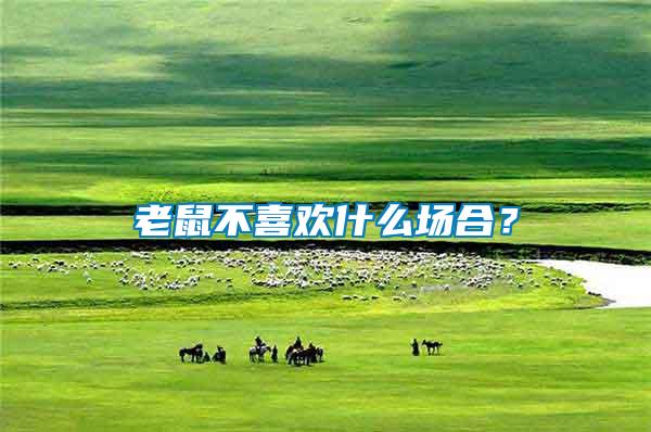 老鼠不喜歡什么場合?