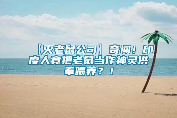 【滅老鼠公司】奇聞!印度人竟把老鼠當作神靈供奉喂養(yǎng)?!