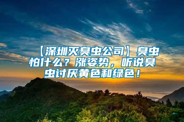 【深圳滅臭蟲公司】臭蟲怕什么?漲姿勢,聽說臭蟲討厭黃色和綠色!