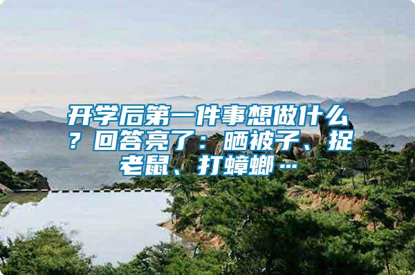 開學后第一件事想做什么？回答亮了：曬被子、捉老鼠、打蟑螂…