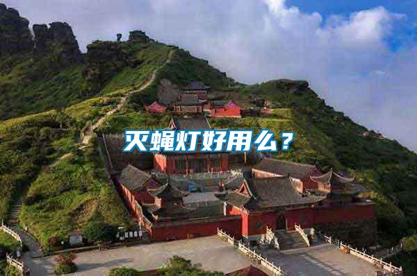 滅蠅燈好用么？