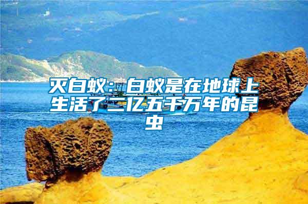 滅白蟻:白蟻是在地球上生活了二億五千萬年的昆蟲