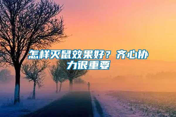 怎樣滅鼠效果好?齊心協力很重要