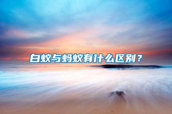 白蟻與螞蟻有什么區別？