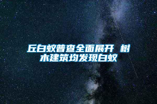 丘白蟻普查全面展開 樹木建筑均發現白蟻