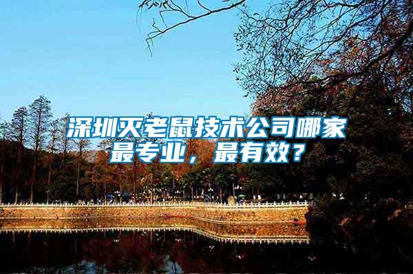 深圳滅老鼠技術公司哪家最專業，最有效？