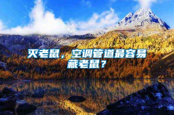 滅老鼠，空調(diào)管道最容易藏老鼠？