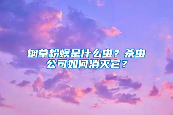煙草粉螟是什么蟲？殺蟲公司如何消滅它？