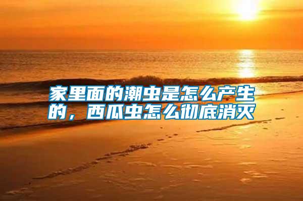 家里面的潮蟲是怎么產(chǎn)生的，西瓜蟲怎么徹底消滅