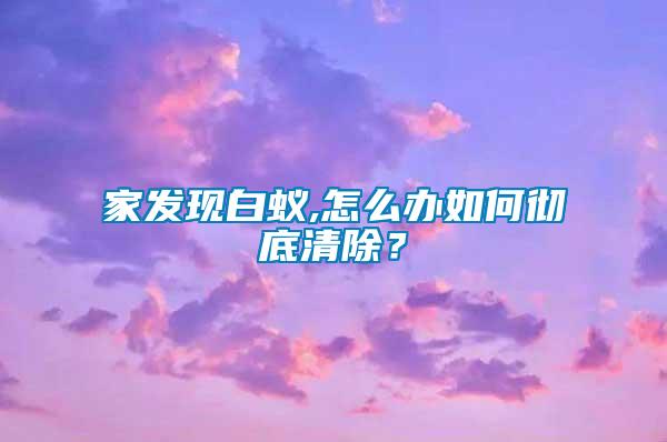 家發(fā)現(xiàn)白蟻,怎么辦如何徹底清除?