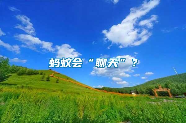 螞蟻會“聊天”？