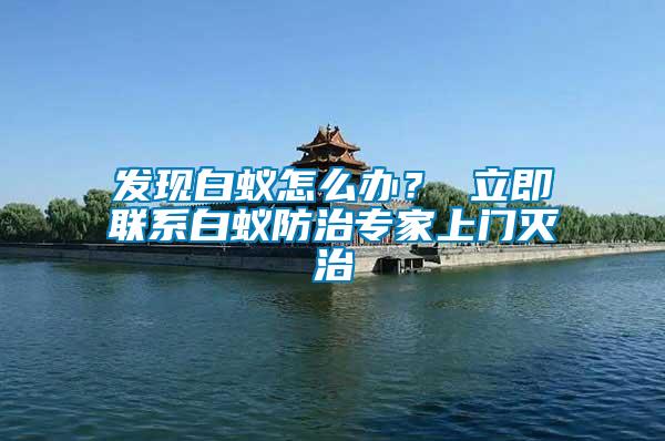 發現白蟻怎么辦？ 立即聯系白蟻防治專家上門滅治