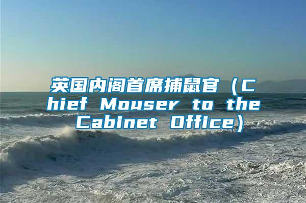 英國內閣首席捕鼠官(Chief Mouser to the Cabinet Office)