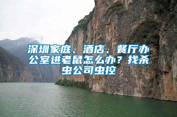 深圳家庭、酒店、餐廳辦公室進老鼠怎么辦?找殺蟲公司蟲控