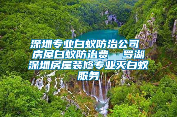 深圳專業白蟻防治公司 房屋白蟻防治費 羅湖深圳房屋裝修專業滅白蟻服務
