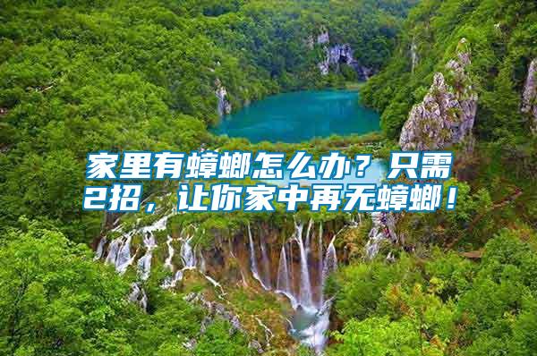 家里有蟑螂怎么辦？只需2招，讓你家中再無蟑螂！
