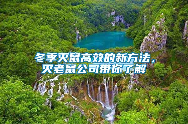 冬季滅鼠高效的新方法,滅老鼠公司帶你了解