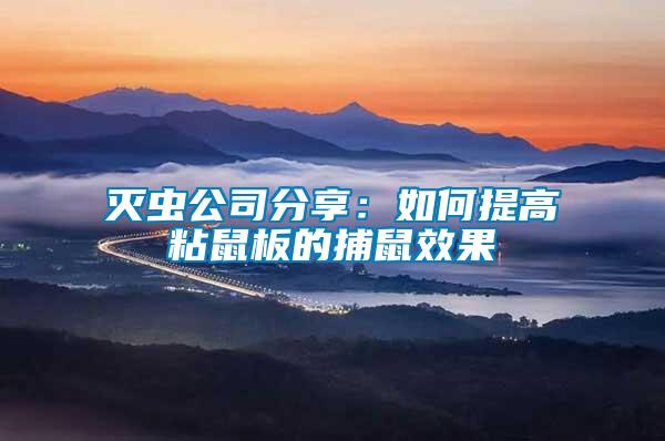 滅蟲公司分享:如何提高粘鼠板的捕鼠效果