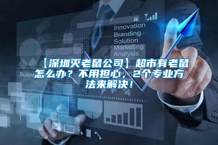 【深圳滅老鼠公司】超市有老鼠怎么辦?不用擔心,2個專業方法來解決!