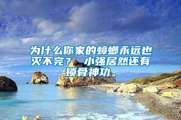為什么你家的蟑螂永遠也滅不完？ 小強居然還有鎖骨神功。
