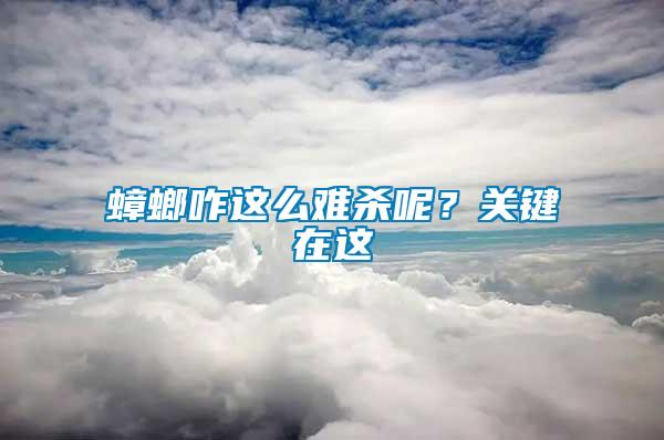 蟑螂咋這么難殺呢?關鍵在這