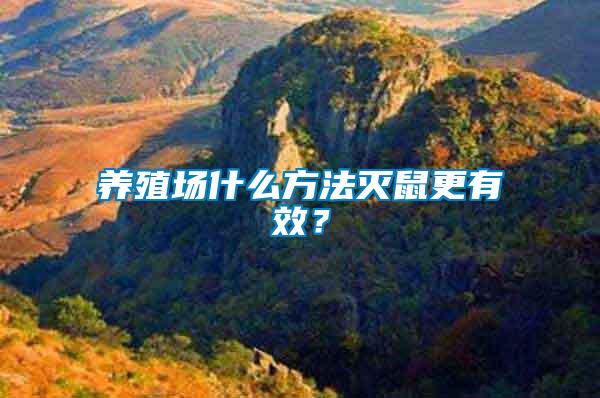養殖場什么方法滅鼠更有效?