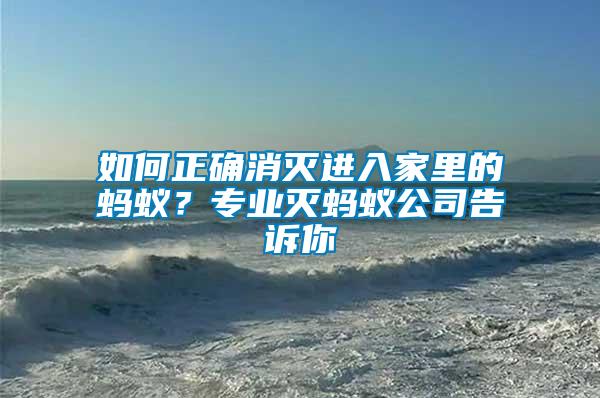 如何正確消滅進入家里的螞蟻？專業滅螞蟻公司告訴你