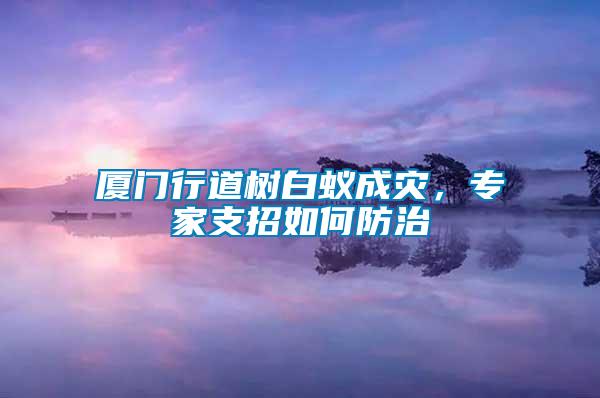 廈門行道樹白蟻成災,專家支招如何防治