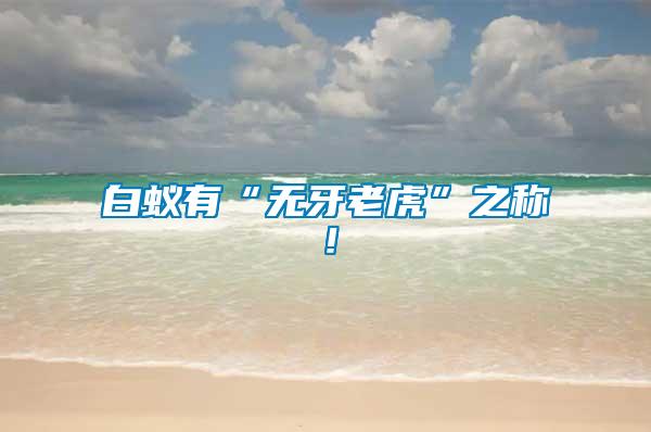 白蟻有“無牙老虎”之稱!