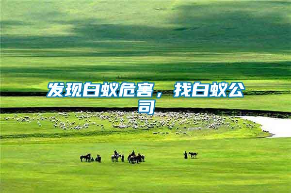 發現白蟻危害,找白蟻公司