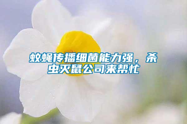 蚊蠅傳播細菌能力強,殺蟲滅鼠公司來幫忙
