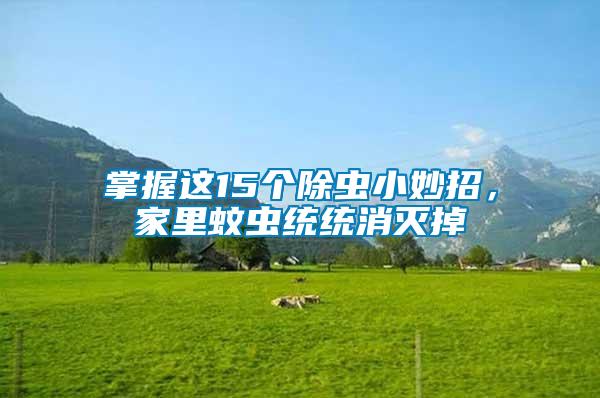 掌握這15個(gè)除蟲小妙招，家里蚊蟲統(tǒng)統(tǒng)消滅掉