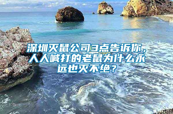 深圳滅鼠公司3點告訴你,人人喊打的老鼠為什么永遠也滅不絕?