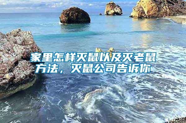 家里怎樣滅鼠以及滅老鼠方法，滅鼠公司告訴你