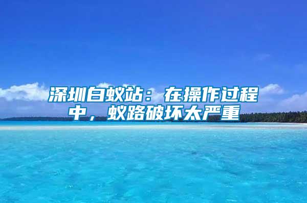 深圳白蟻站:在操作過程中,蟻路破壞太嚴重