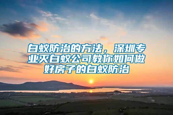 白蟻防治的方法，深圳專業滅白蟻公司教你如何做好房子的白蟻防治