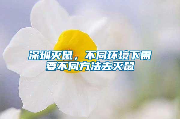 深圳滅鼠，不同環境下需要不同方法去滅鼠