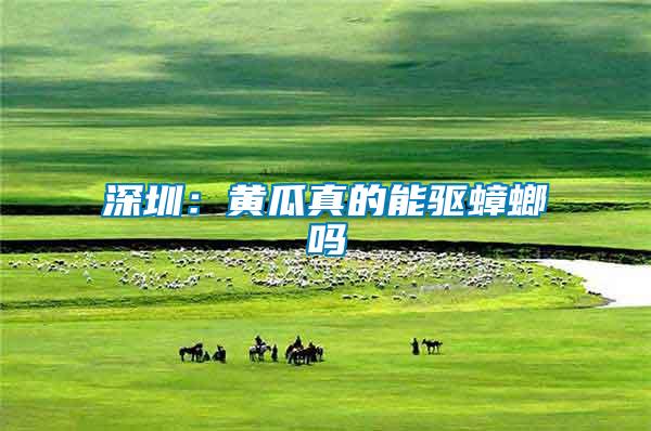 深圳:黃瓜真的能驅蟑螂嗎