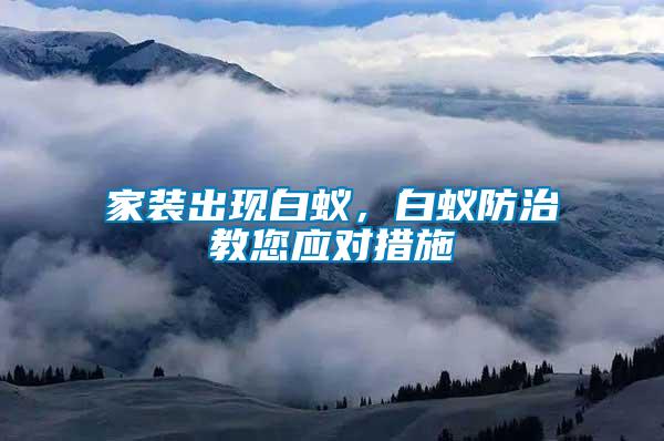 家裝出現白蟻，白蟻防治教您應對措施