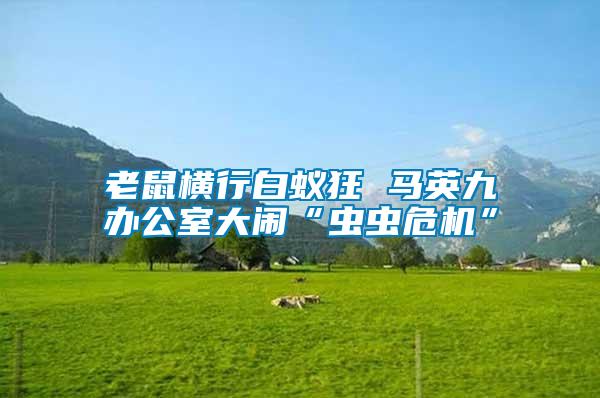 老鼠橫行白蟻狂 馬英九辦公室大鬧“蟲蟲危機”