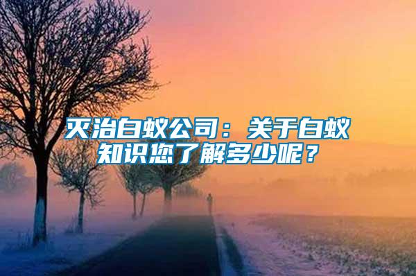 滅治白蟻公司:關于白蟻知識您了解多少呢?