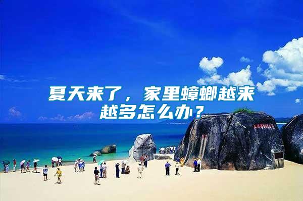 夏天來了，家里蟑螂越來越多怎么辦？