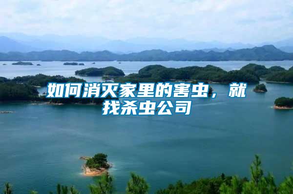 如何消滅家里的害蟲(chóng),就找殺蟲(chóng)公司