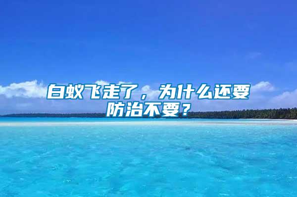白蟻飛走了，為什么還要防治不要？