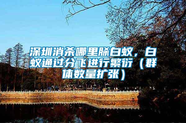 深圳消殺哪里脎白蟻，白蟻通過(guò)分飛進(jìn)行繁衍（群體數(shù)量擴(kuò)張）