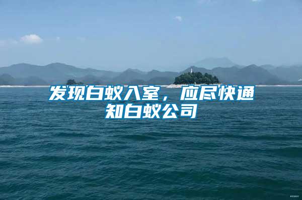 發(fā)現(xiàn)白蟻入室,應(yīng)盡快通知白蟻公司
