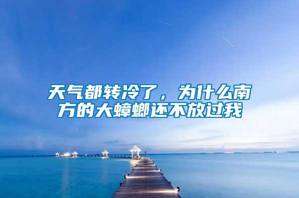 天氣都轉冷了，為什么南方的大蟑螂還不放過我