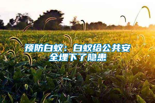 預(yù)防白蟻:白蟻給公共安全埋下了隱患
