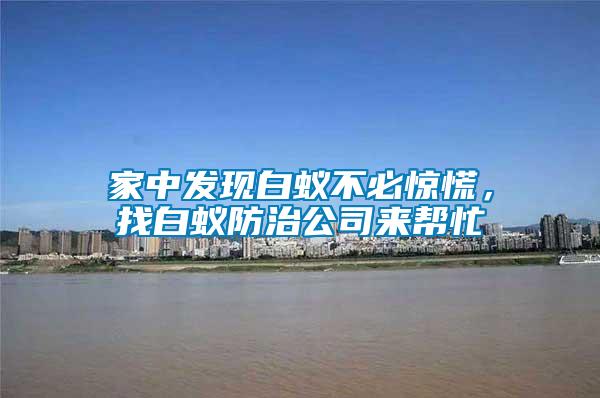 家中發現白蟻不必驚慌，找白蟻防治公司來幫忙