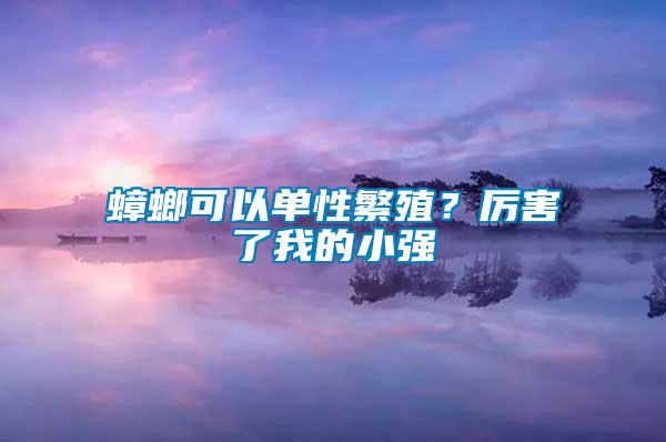 蟑螂可以單性繁殖？厲害了我的小強